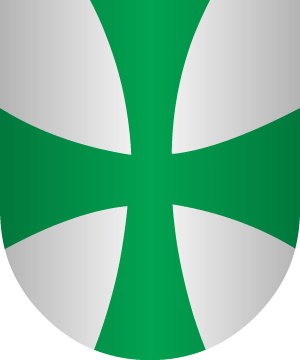 ESCUDO PRECEDENTE